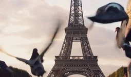 People are leaving Bank of America's Paris rates business