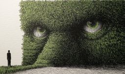 a man looking at a hedge with green eyes 