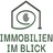IIB ImmobilienImBlick Hausverwaltung GmbH & Co.KG