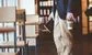 The worst ways to treat a finance recruiter