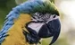 The hedge fund trading prodigy with a parrot farm in Surrey, and his advice