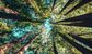 Everything you need to know about ESG jobs in finance